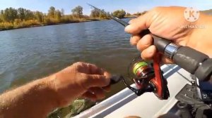 Ловля чехони на Ахтубе.сентябрь 2023г.