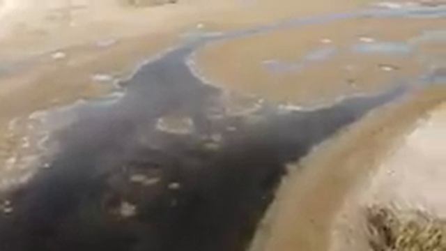 На грани Экологической катастрофы / Что же будет дальше ??? смотреть онлайн