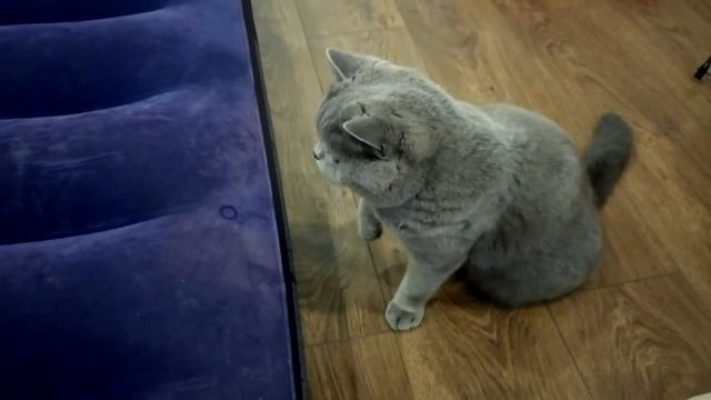 Лучший способ найти проколы на матрасе смотреть онлайн