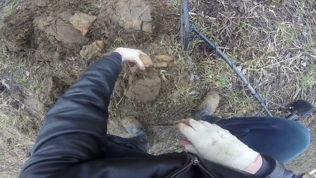 коп золотых монет