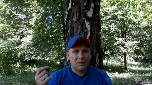 Тулукут. Практика. Отслеживание я-мысли. смотреть онлайн