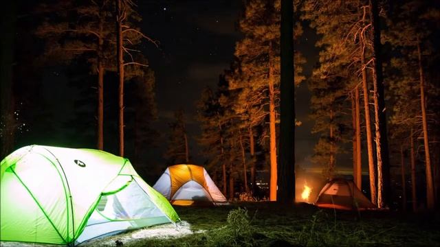 Звук костра в ночном лесу. / Звуки для медитации, отдыха и сна. /Relax смотреть онлайн