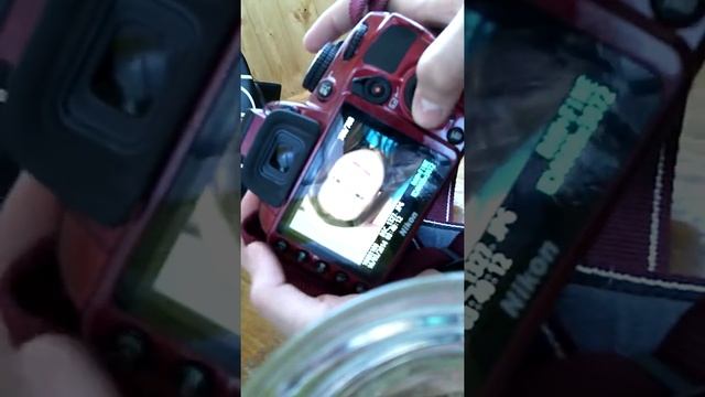 Мой фотоаппарата Настя Кушманова смотреть онлайн