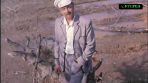 А. Куприн. "Олеся".