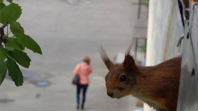 Финал Фотоконкурс смотреть онлайн