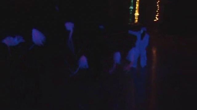 световой театр пластики