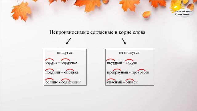 Непроизносимые согласные в корне слова. Русский язык. смотреть онлайн