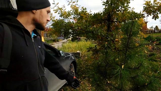 Купили саженцы айвы, лиственницы, голубики и виктории. Благоустройство заброшенной дачи. Часть 14 смотреть онлайн