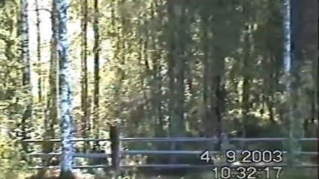 Хутор в лесу. смотреть онлайн
