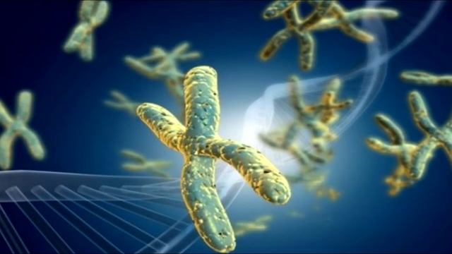 Вы Можете Замедлить Старение На 90%! Вот как это сделать.. смотреть онлайн