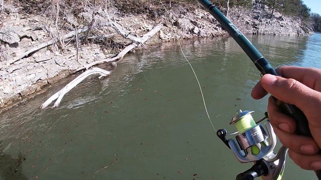 SPRING BASS FISHING WITH BIG SPINNERBAITS & JIGS (Table Rock Lake) смотреть онлайн