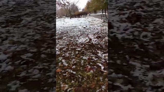 описание съел снег