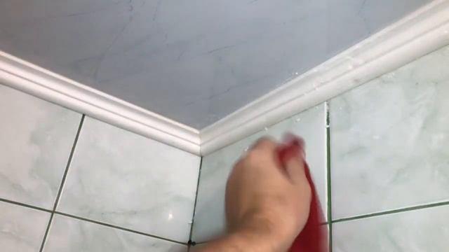 Мастерство и Поддержка