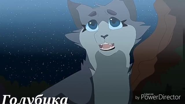 Коты-Воители/ Неуязвимость