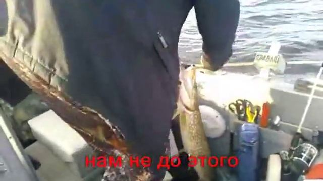 Кубенское озеро. Открытие сезона 2014 года. смотреть онлайн