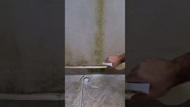 ?ПЛЕСЕНЬ И ГРИБОК могут быть опасны для здоровья при вдыхании. Очищайте поверхности от них!