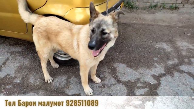 КУЧУК БОЗОР ХУДЖАНД БО НАРХОИ НАВ Санаи 02.05.2021