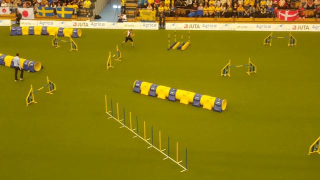 PRIMA Natalia Shternberg Large Jumping AWC 2018 смотреть онлайн