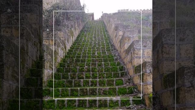 Как 3 девы Дагестан поехали смотреть смотреть онлайн