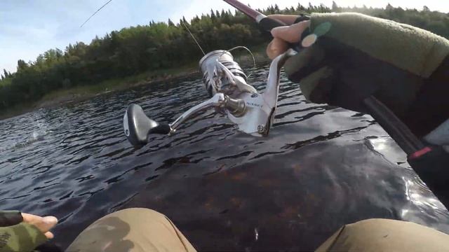 Рыбалка на Кольском полуострове. Июль 2019. ЧАСТЬ 1. смотреть онлайн