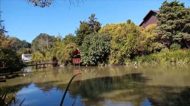 Экоотель "Озеро Дивное". У самого Черного моря такая красота! Лазаревское (Сочи) смотреть онлайн