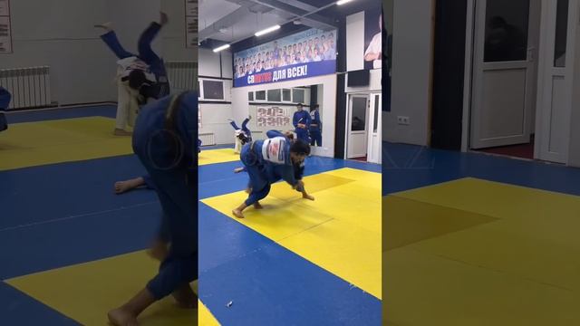 Judo combination Ko-Uchi-Gari - подсечка под пятку с продолжением Tai-Otoshi - передняя подножка смотреть онлайн