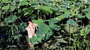 Хотела к лотосам, а попала в болото. Глазами в облака, да в трясину ногой)).