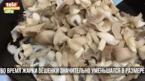 Как приготовить вешенки в сметане