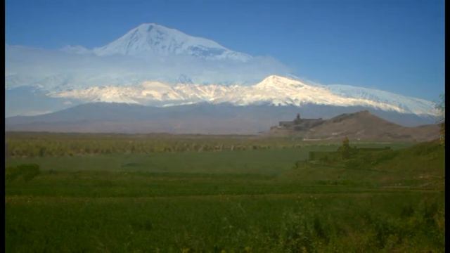 Film ARARAT 2