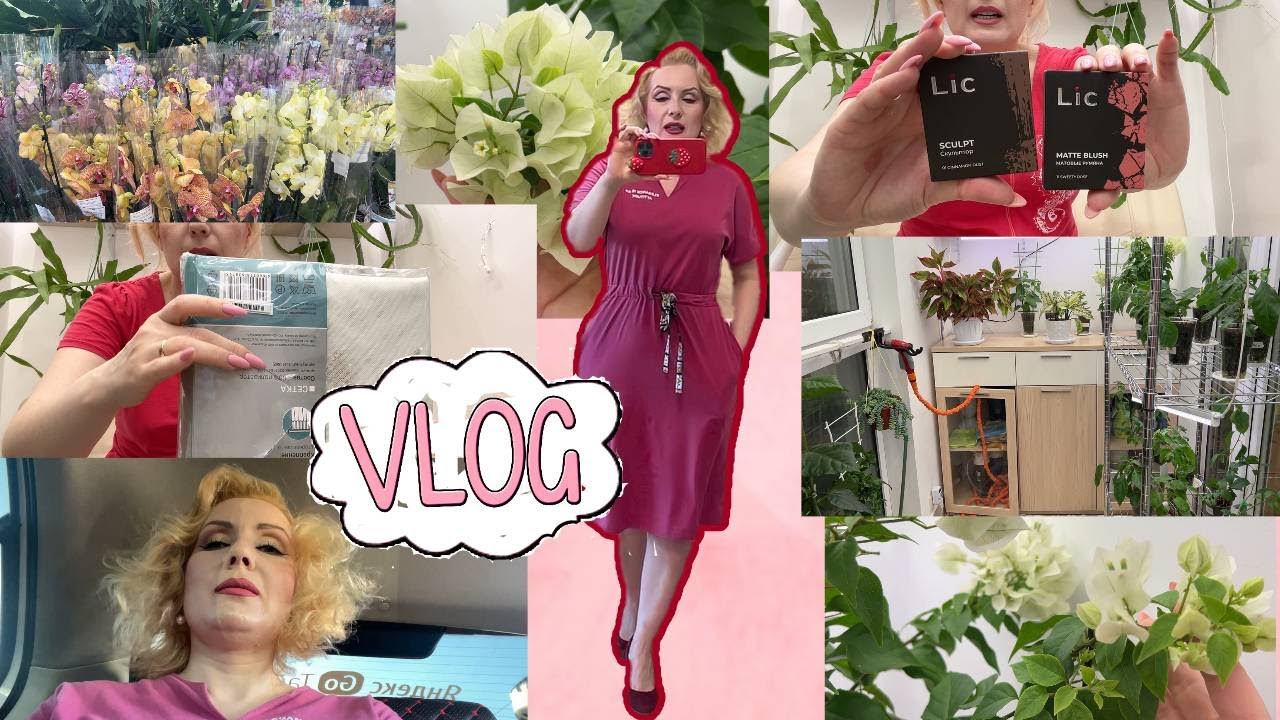 VLOG//ДЕНЬ СО МНОЙ: 50 бугенвиллий, магазины , распаковки покупок️, приключения с тюлем и др. смотреть онлайн