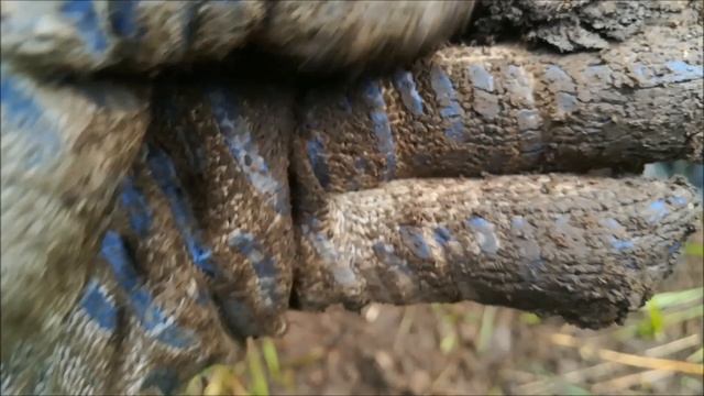 Первый выход с Quest Q40 смотреть онлайн