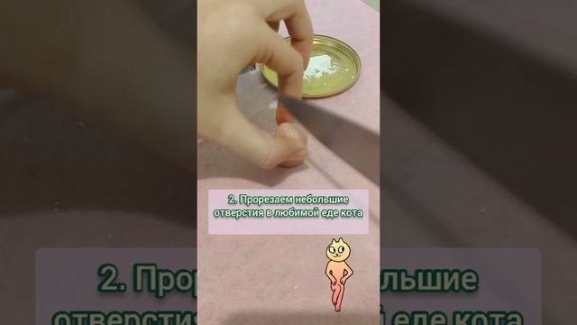 Как дать ТАБЛЕТКУ КОТУ🐈 #short смотреть онлайн
