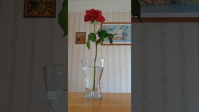 Майский сон смотреть онлайн