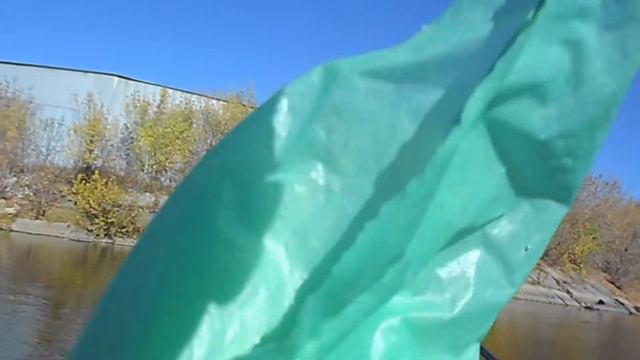 В ДЕНЬ РОЖДЕНИЯ. ЧАЙКИ - АГРЕССОРЫ. смотреть онлайн