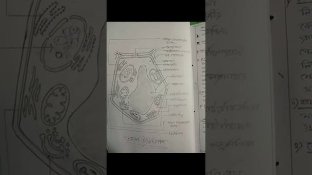 class 9 life science project смотреть онлайн