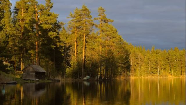 Свекровь пришла к нам жить и пыталась меня выжить из собственной квартиры. Истории из жизни смотреть онлайн