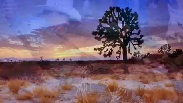 Someday Soon - Judy Collins 1969.avi смотреть онлайн