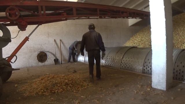 Лук нам уже СНИТСЯ