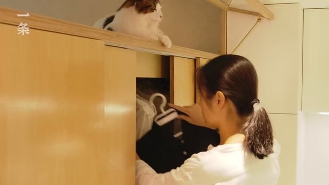 范久江和翟翟的家 The Ultimate Transformation of a 40㎡ Dilapidated Resold Apartment смотреть онлайн