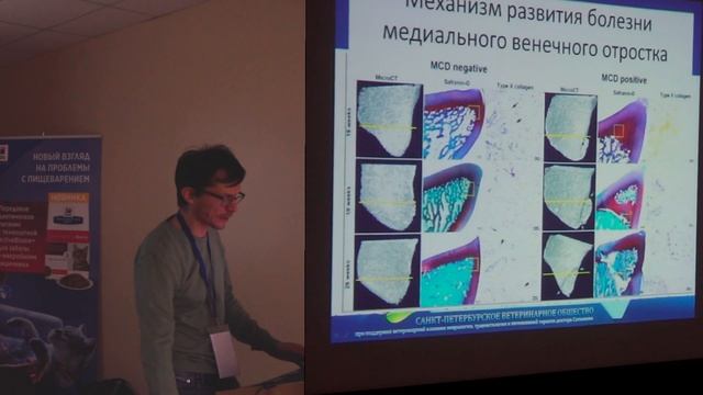 Что такое остеохондроз на самом деле. смотреть онлайн