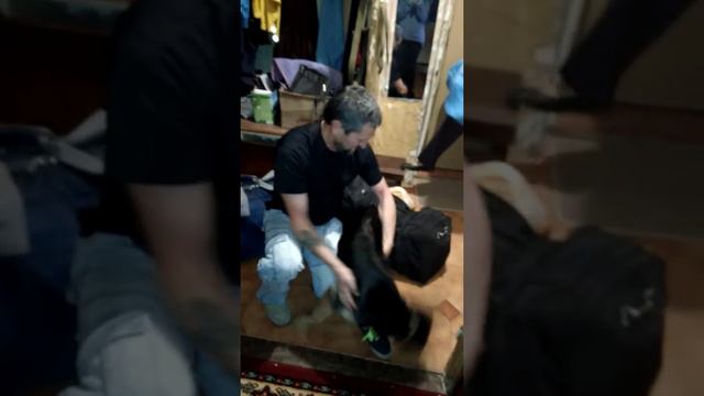 Встреча после долгого расставания с хозяином 😂😂😁🤗🤗 смотреть онлайн