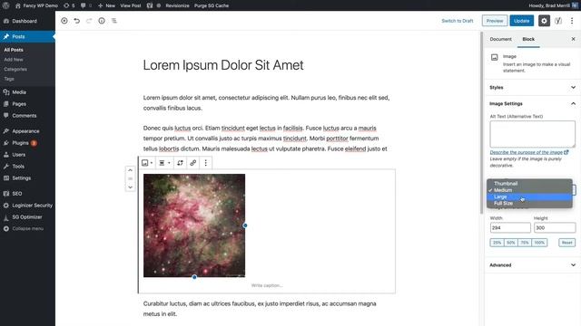 How To Fix Animated GIFs Not Working In WordPress смотреть онлайн
