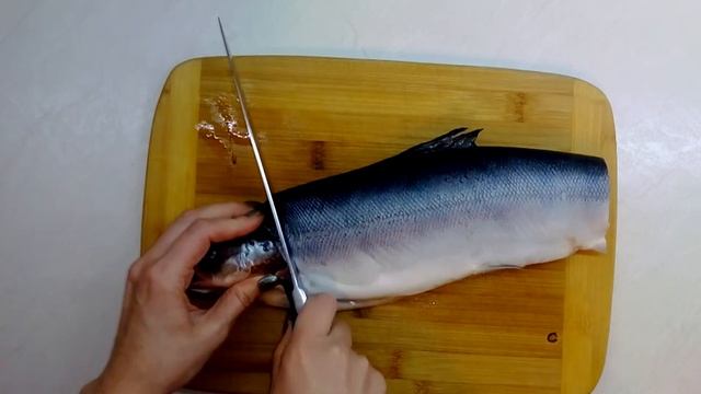 Засолка рыбы и икры в домашних условиях