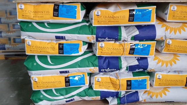 Посівний матеріал Syngenta смотреть онлайн
