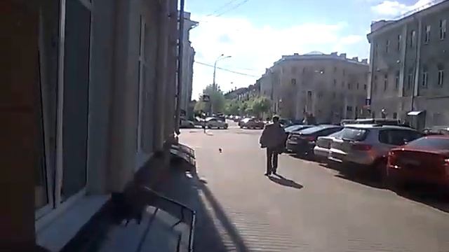 Молдавские леи в беларуси нигде не обменяли банк обмен валюты минск гомель смотреть онлайн