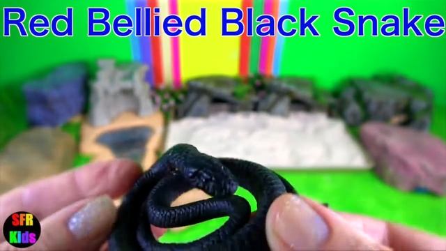 Snakes Serpent Reptile Viper Snake Cobra Python Boa Basilisk смотреть онлайн