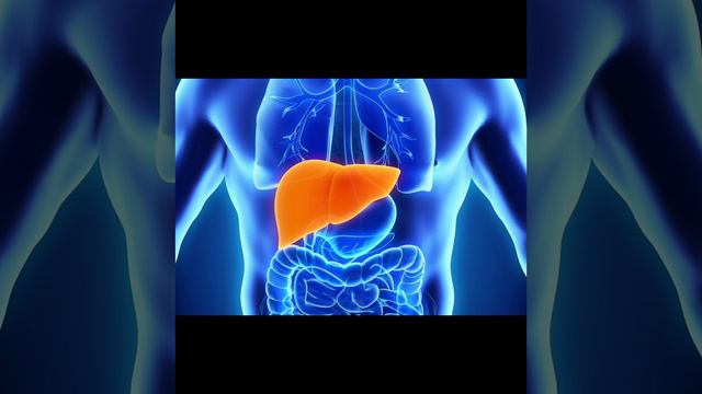 ПОЧЕМУ ВОЗНИКАЮТ ПРОБЛЕМЫ С ПЕЧЕНЬЮ? смотреть онлайн