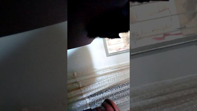 MINHA FELICIDADE É VC MEU LÍNDU FOFINHO смотреть онлайн