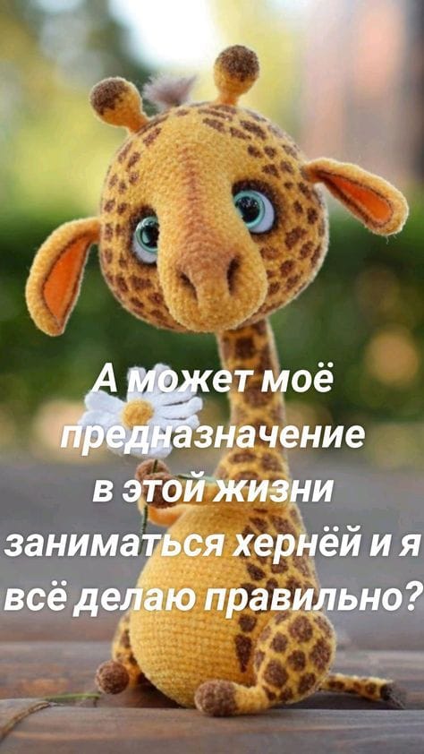 утро 10.06 смотреть онлайн