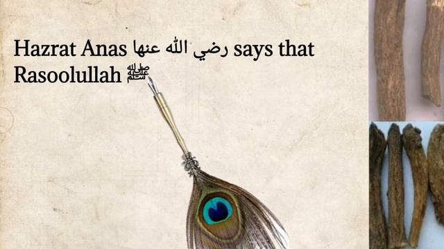 Hadith and Science about Costus (Qust) смотреть онлайн